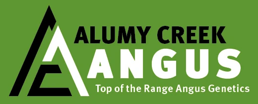 Alumy Creek Angus Logo