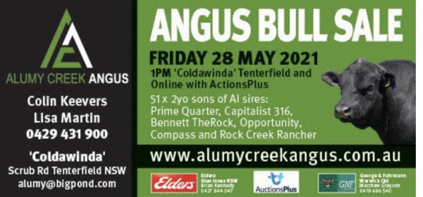 2020 Annual On Property Angus Bull Sale
