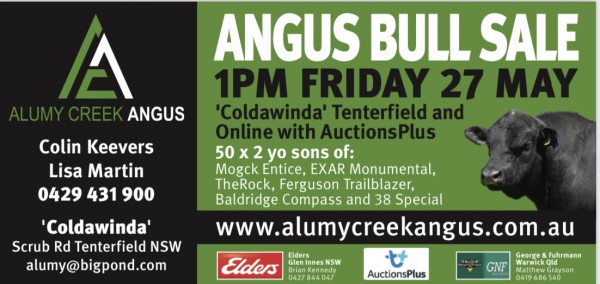 2022 Annual On Property Angus Bull Sale Friday 27th May