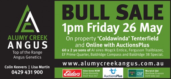 Next Annual On Property Angus Bull Sale Friday 31st May 2024