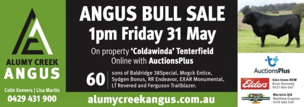 Results Alumy Creek Angus 2023 On Property and Online Auctionsplus Friday 26th May Bull Sale