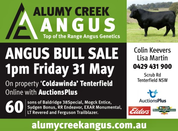 Next Alumy Creek Angus 2024 Bull Sale 1pm Friday 31 May 2024