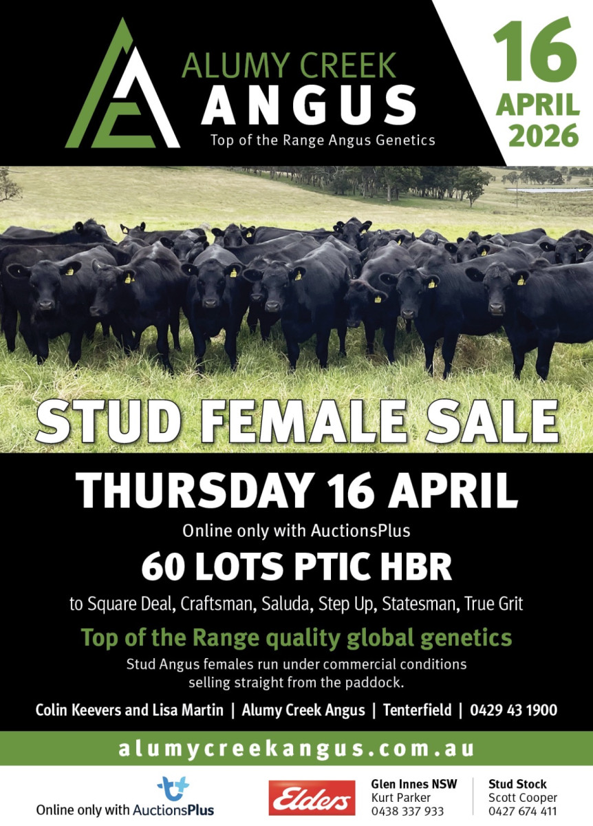 2026 PTIC STUD FEMALE SALE 16 APRIL