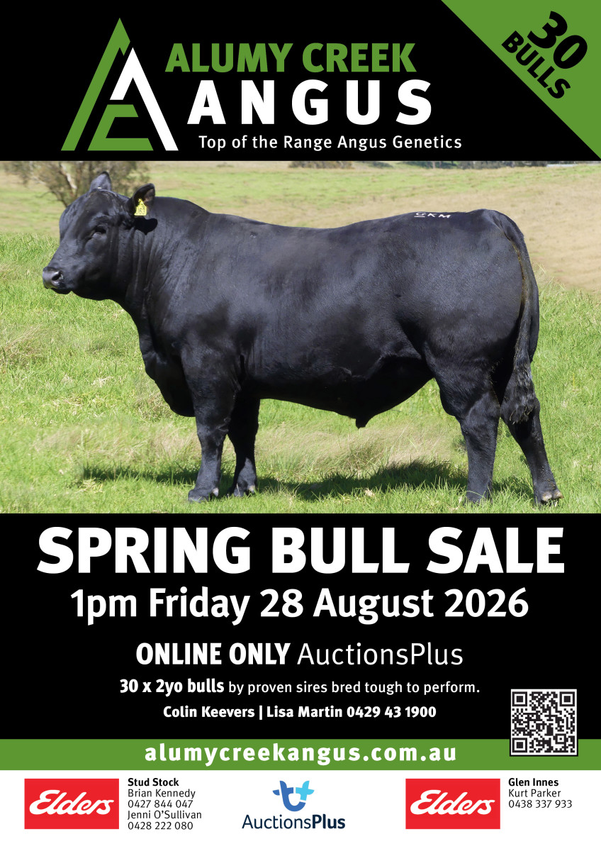 2026 Online Spring Bull Sale 28 August 2026