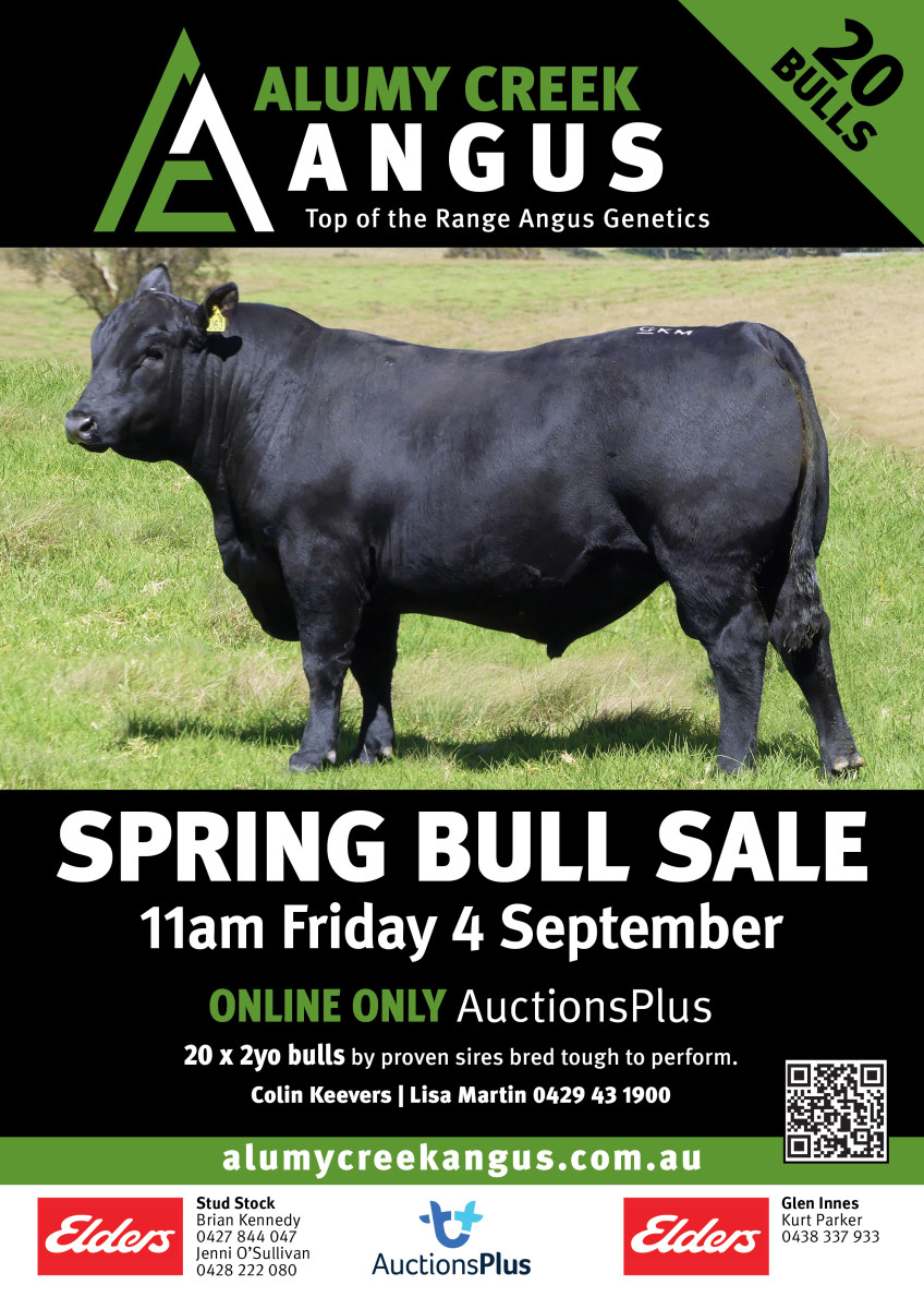 2026 Online Spring Bull Sale 28 August 2026